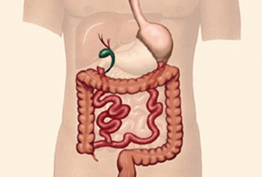 Biliopancreatic-Diversion Biliopancreatic-Diversion